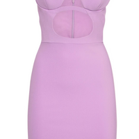 Lavender Mini Fitted Dress with Volute Padded Bra