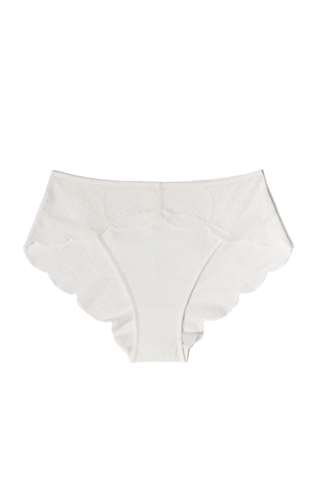 Ivory Anemone Brief