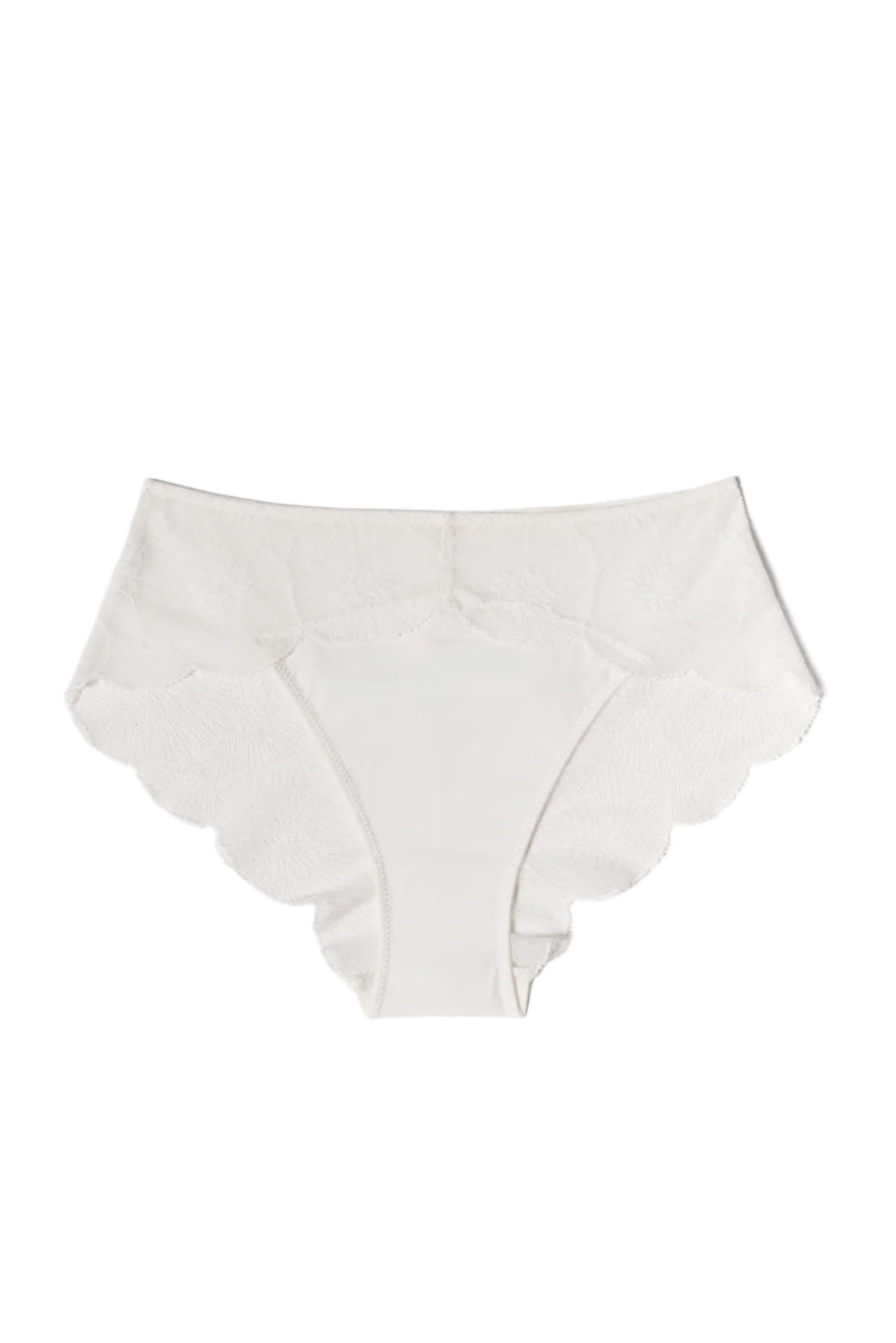 Ivory Anemone Brief