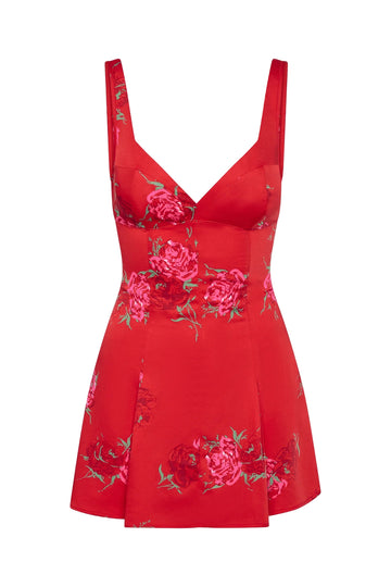 Red Rose Brushstroke Siren Satin Mini Dress